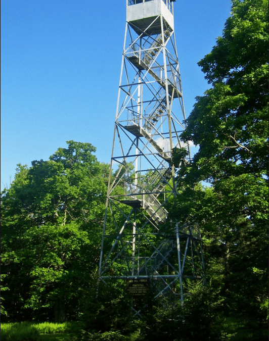 The Ranger Station Above the Forest