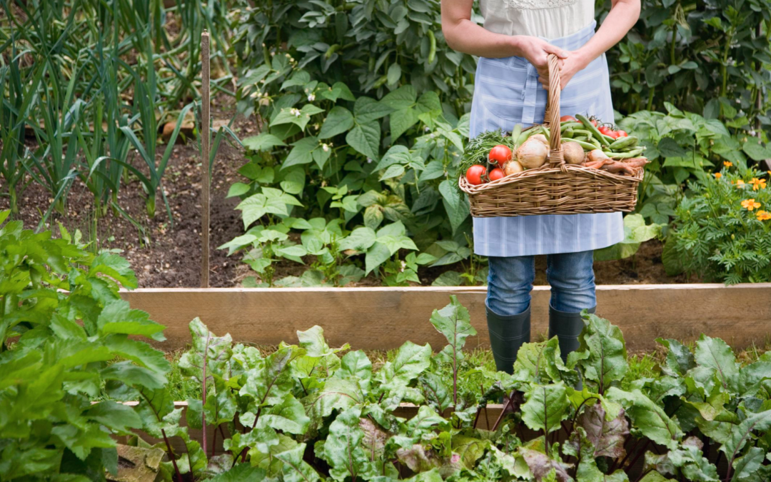 An Airbnb for Gardens